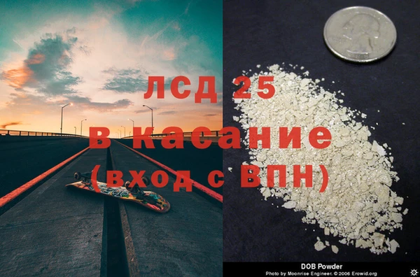 PSILOCYBIN Верея