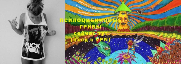 мяу мяу мука Бородино