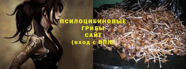 эйфоретик Верхний Тагил
