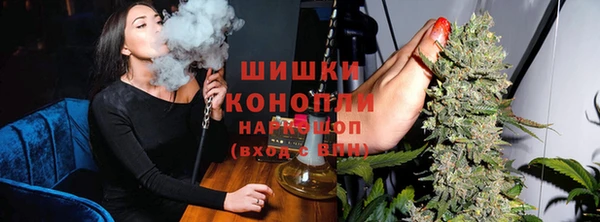 PSILOCYBIN Верея