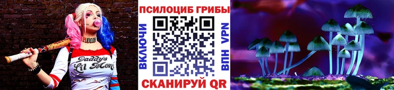 как найти   Курчалой  Галлюциногенные грибы прущие грибы 